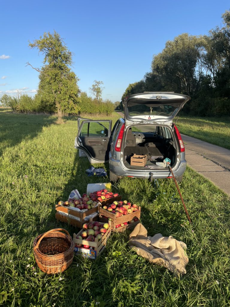 Warum Obst politisch ist